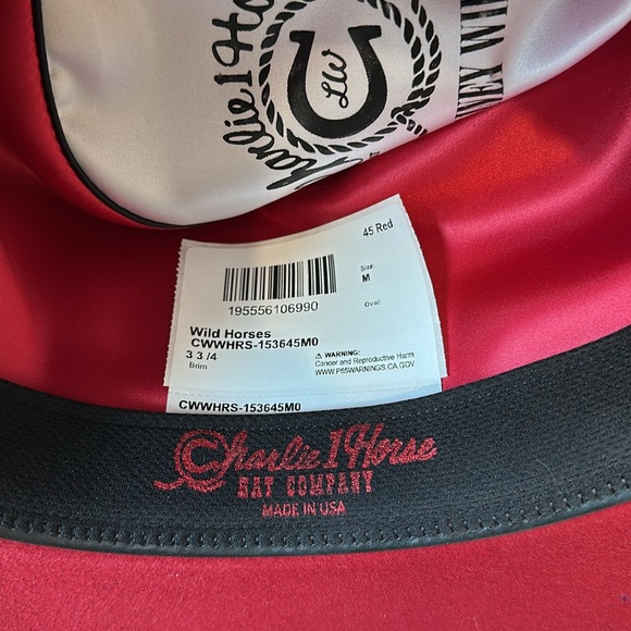 Lainey Wilson signed Charlie one horse hat - Picture 5 of 7